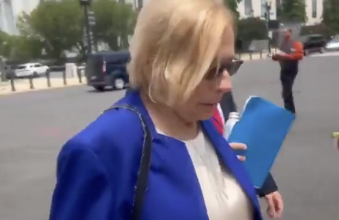 &lsquo;WTF&rsquo;: Dem Gov CALLED OUT In Video