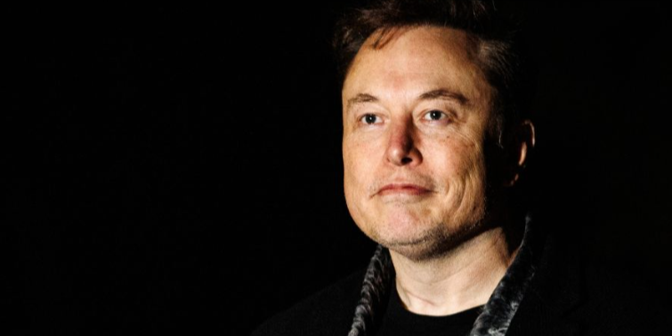 Elon Goes All In on Impeaching Rogue Judges with Uniquely Musk Approach to Taking Them Down